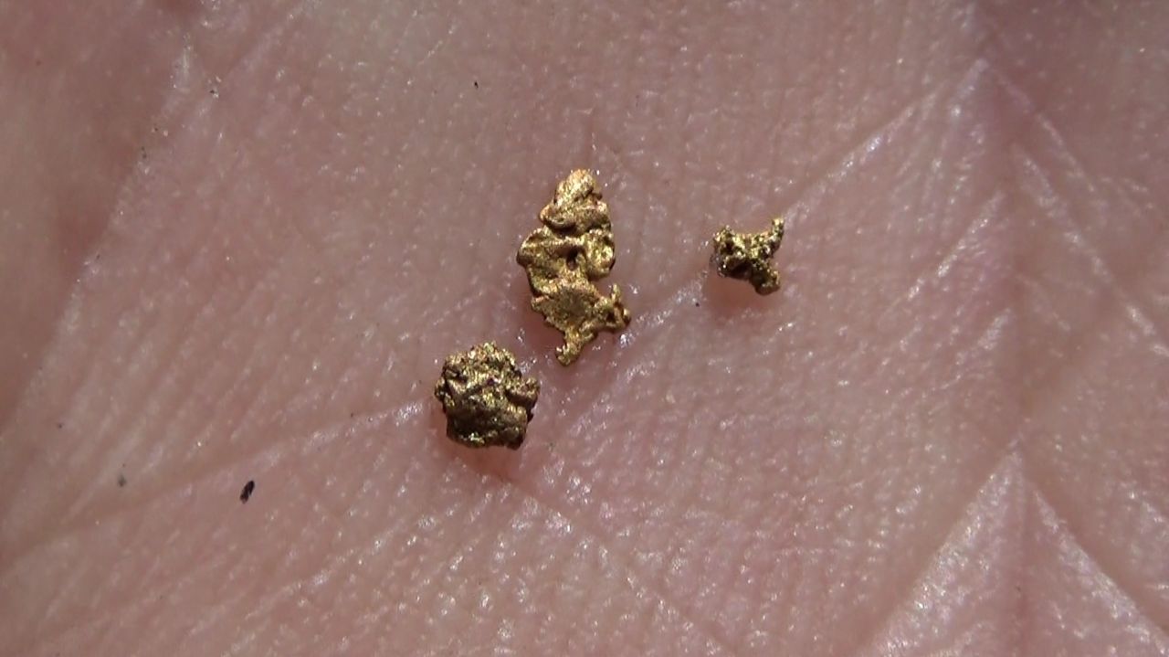 Поиск самородного Золота на старинном прииске! смотреть онлайн