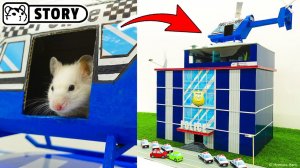 Полицейский лабиринт для хомячков 👮 приключения скин-лейтенанта Хомуры Хэма