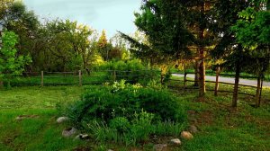 Майский вечер