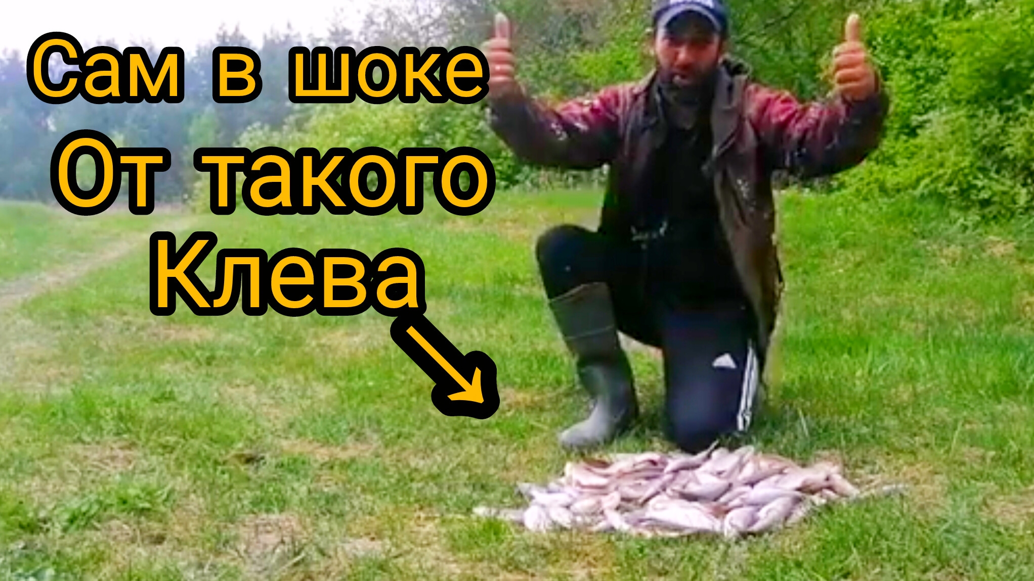 Такого клева Я и не ожидал. Рыбалка на лесной реке! смотреть онлайн