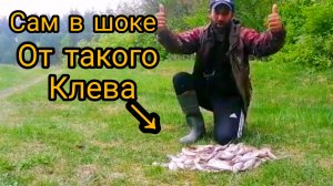 Такого клева Я и не ожидал. Рыбалка на лесной реке!