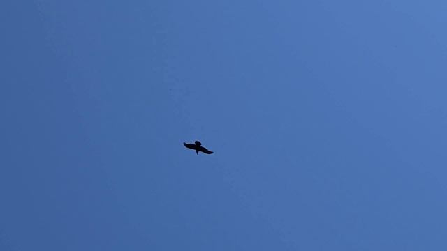 Дорога уходит в даль...