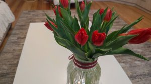 Первые тюльпаны. Заказ с ВБ. Мои будни.