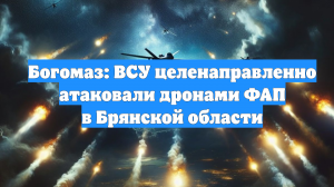 Богомаз: ВСУ целенаправленно атаковали дронами ФАП в Брянской области