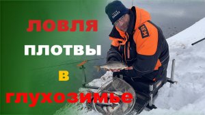 ловля плотвы в глухозимье