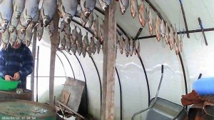 Вялинье (продолжение).