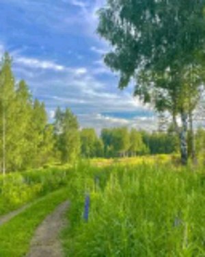 хай, танцуем и разговариваем