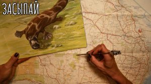 АСМР Путешествие к утконосу 🦆 Карты, детская книга и воспоминания о поездке в Австралию