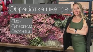 Флористика для начинающих. Обработка пионов, Вероники, гиперикума