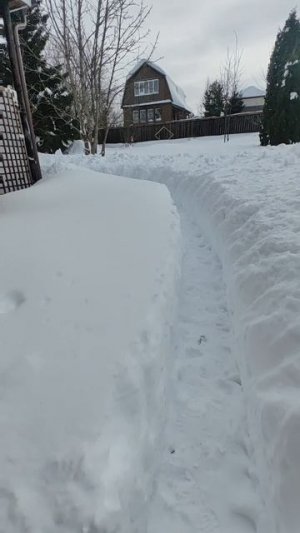 petal_20260222_230605.mp4