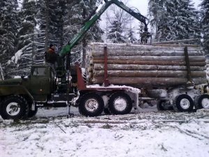 Манипулятор Атлант-С 90, профессиональная погрузка леса ч.1