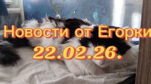 22-02-2026 Новости от Егорки