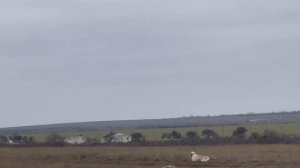 Федора. 22.02.26