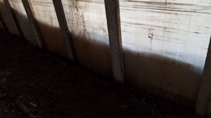 сибирский огород