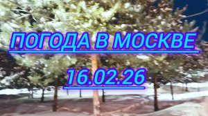 Погода в Москве сейчас 16.02.26