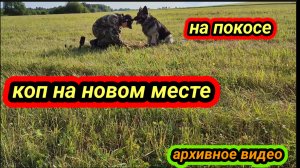 коп на новом месте