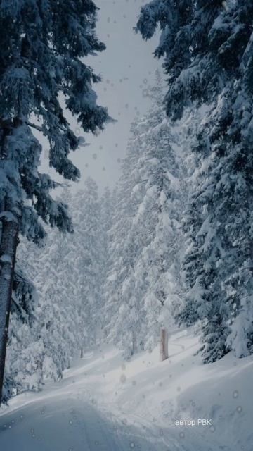 Кабы не было зимы