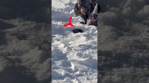 YouCut_20260222_202230910.mp4