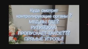 "ДОМОСЕД" В ЯРОСТИ! ВЕРШИТ САМОСУД?/ОБЗОР НА КАНАЛ "ДНЕВНИК ДОМОСЕДА"