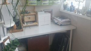 Ликвидация 7 пятая неделя участник 36  1.mp4