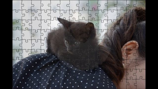 НАЧАЛО  СТУДЕНЧЕСКОЙ ЖИЗНИ ЧАСТЬ ТРЕТЬЯ