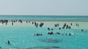 На яхте в Красном море, Белый остров.