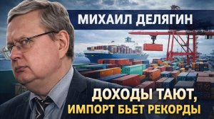 Михаил Делягин Доходы тают, импорт бьет рекорды