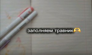 снова заполняем травник 🫶