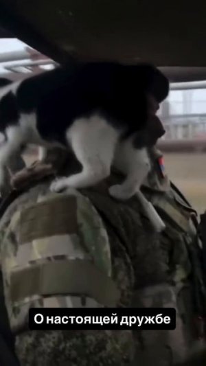 СВО