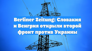 Berliner Zeitung: Словакия и Венгрия открыли второй фронт против Украины