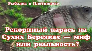Рыбалка в Плотниково . «Отец и сын на Сухих Березках: день, проведённый на рыбалке».
