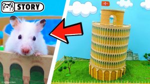 Лабиринт с Пизанской башней ⭐ Хомяк Хомура