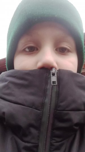 Веселая Прогулка (Прогулка с Артуром и Мишей)