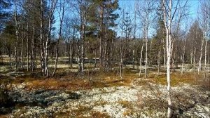 Архив Фрагменты сентября. 2016.