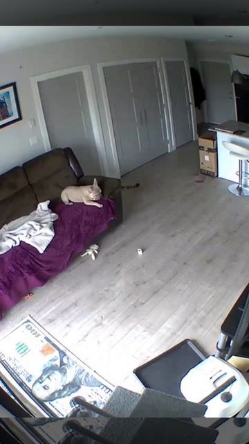 Вдвоём нескучно смотреть онлайн