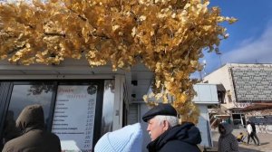 Масленица в Крыму. Народные гуляния в Алуште сегодня на набережной