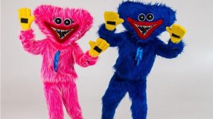 Хаги Ваги и Киси Миси