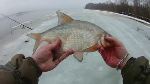РЫБАЛКА НА ДОНКИ.ЛЕЩ.рыбалка на верхней ВОЛГЕ.