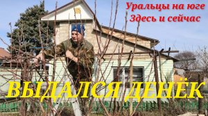 Вчера не сегодня.Обрезка деревьев.Славный денёчек.