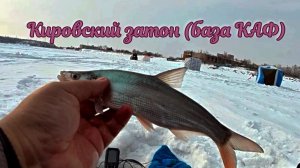 Городская рыбалка со льда в Хабаровске