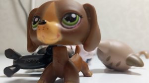 lps клип cannibal