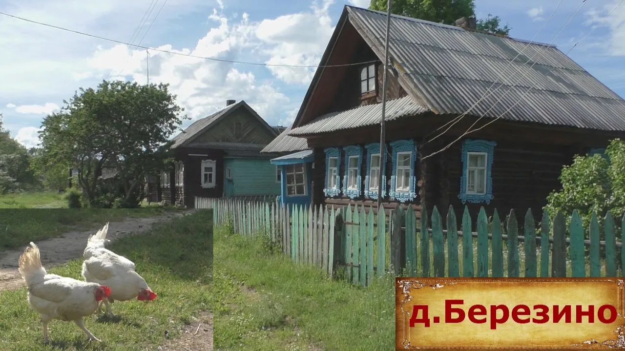 Деревня в глубинке. Тихая деревня у реки. Уютная и тихая деревня в окружении лесов. Деревня Березино смотреть онлайн