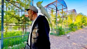 Влад, Ангелина и Басик ПРОВОЖАЮТ Киру в новый ШИКАРНЫЙ ВОЛЬЕР!