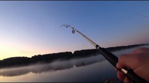 Рыбалка. Донка .Лещ клюет на пенопласт.. (6)