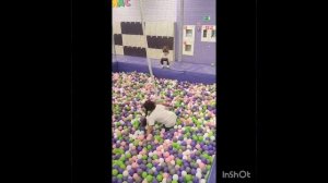 Мой день рождения 🥳