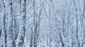 Эти 3 знака зодиака под прицелом. Гороскоп на 23 февраля.