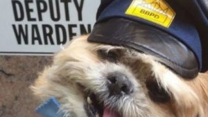 С поста выходит на обход охрана