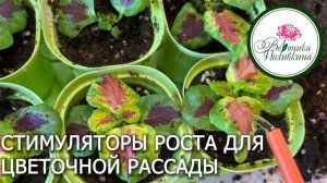 Когда нужно использовать стимуляторы роста