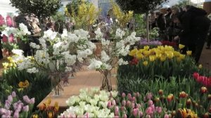 АптекарскийФевраль2