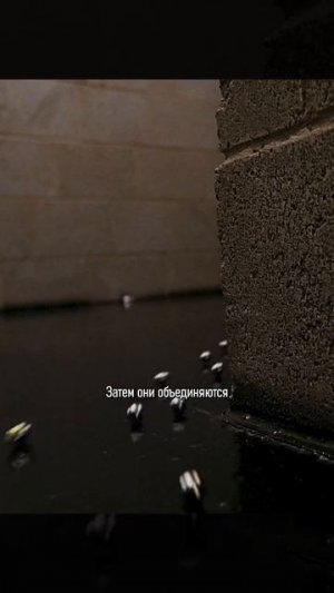 Хороший фильм на вечер !